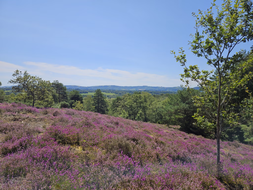 Hesworth Common Working Party